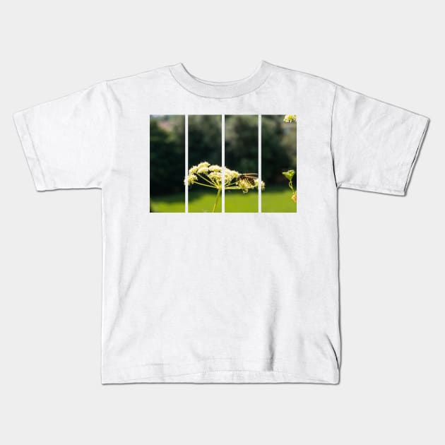 Wasp on a white Caraway or meridian fennel flower. Macro photo. Texture of white petals. Wasp close-up. Drawing on the body of a wasp. The wasp pollinates the flower. Natur green background. Bokeh Kids T-Shirt by fabbroni-art